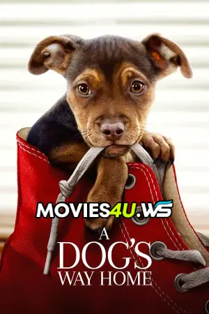 A Dog’s Way Home