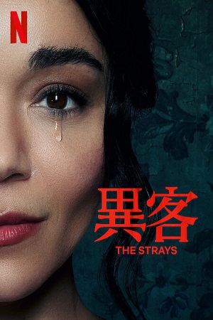 The Strays