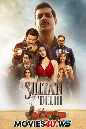 Sultan Of Delhi