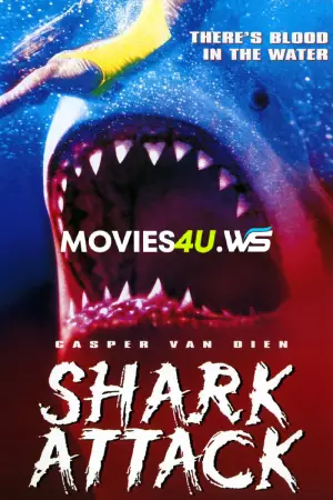 Shark Attack