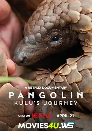 Pangolin: Kulu's Journey