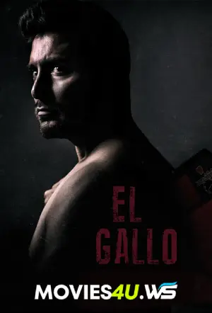 El Gallo